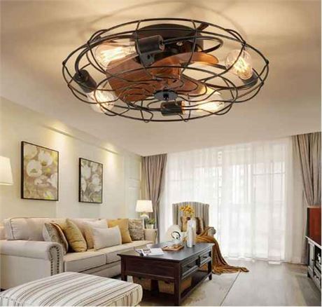 Ludomide CFL-1095 53.34cm Caged Ceiling Fan with Lights, Black $317 